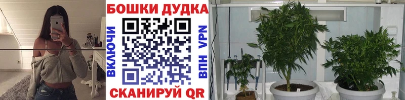 Наркошоп купить Гашиш  НБОМе  КОКАИН  МЕФ  МАРИХУАНА  АМФЕТАМИН  Зубцов