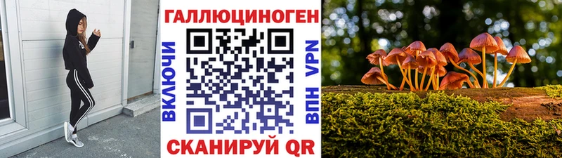 Галлюциногенные грибы мицелий  Купить  Зубцов 